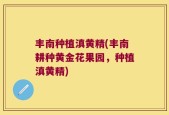 丰南种植滇黄精(丰南耕种黄金花果园，种植滇黄精)