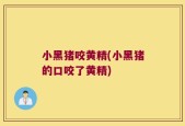 小黑猪咬黄精(小黑猪的口咬了黄精)