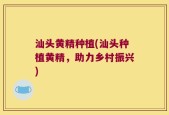汕头黄精种植(汕头种植黄精，助力乡村振兴)