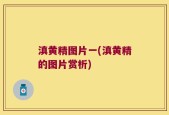滇黄精图片一(滇黄精的图片赏析)