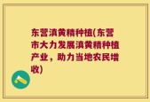 东营滇黄精种植(东营市大力发展滇黄精种植产业，助力当地农民增收)