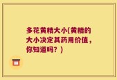 多花黄精大小(黄精的大小决定其药用价值，你知道吗？)