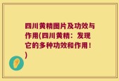 四川黄精图片及功效与作用(四川黄精：发现它的多种功效和作用！)