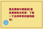 壶关黄精与黄精茶(壶关黄精和它的茶：了解一下这种神奇的植物精华)
