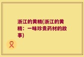 浙江的黄精(浙江的黄精：一味珍贵药材的故事)