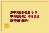 济宁黄精种植基地(济宁黄精基地：种植高品质黄精的秘诀)