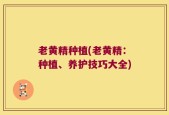 老黄精种植(老黄精：种植、养护技巧大全)