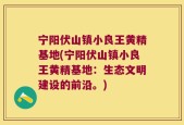 宁阳伏山镇小良王黄精基地(宁阳伏山镇小良王黄精基地：生态文明建设的前沿。)