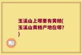 玉溪山上哪里有黄精(玉溪山黄精产地在哪？)