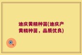迪庆黄精种苗(迪庆产黄精种苗，品质优良)