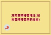 湖南黄精种苗地址(湖南黄精种苗采购指南)