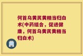 何首乌黄芪黄精当归白术(中药组合，促进健康，何首乌黄芪黄精当归白术)