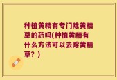 种植黄精有专门除黄精草的药吗(种植黄精有什么方法可以去除黄精草？)