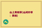 山上黄精草(山间妙草：黄精)