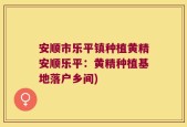 安顺市乐平镇种植黄精安顺乐平：黄精种植基地落户乡间)
