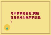冬天黄精能看见(黄精在冬天成为眼前的亮色)