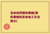 玉米如何提炼黄精(提炼黄精的玉米加工方法简介)