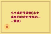小土庙野生黄精(小土庙里的珍贵野生草药——黄精)