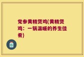 党参黄精煲鸡(黄精煲鸡：一锅温暖的养生佳肴)