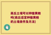 商丘土壤可以种植黄精吗(商丘适宜种植黄精的土壤条件及方法)