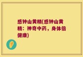 感钟山黄精(感钟山黄精：神奇中药，身体倍健康)