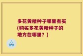 多花黄精种子哪里有买(购买多花黄精种子的地方在哪里？)