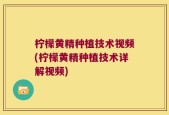柠檬黄精种植技术视频(柠檬黄精种植技术详解视频)