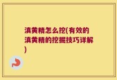 滇黄精怎么挖(有效的滇黄精的挖掘技巧详解)