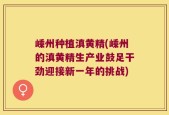 嵊州种植滇黄精(嵊州的滇黄精生产业鼓足干劲迎接新一年的挑战)