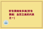 野生黄精有多美(野生黄精：自然之美的代表之一)