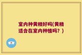 室内种黄精好吗(黄精适合在室内种植吗？)