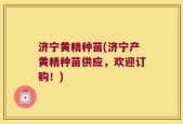 济宁黄精种苗(济宁产黄精种苗供应，欢迎订购！)