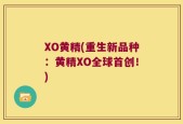XO黄精(重生新品种：黄精XO全球首创！)