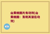 山黄精图片有功效(山黄精图：发现其潜在功效)
