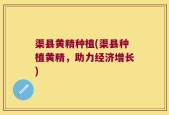 渠县黄精种植(渠县种植黄精，助力经济增长)