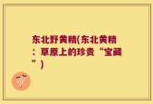 东北野黄精(东北黄精：草原上的珍贵“宝藏”)