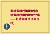 曲靖黄精种植地址(曲靖黄精种植园地址分享——打造健康生活新选择)