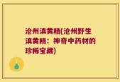 沧州滇黄精(沧州野生滇黄精：神奇中药材的珍稀宝藏)
