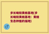 步长略阳黄精基地(步长略阳黄精基地：黄精生态种植的福地)