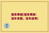 猪骨黄精(猪骨黄精：滋补骨髓，延年益寿)