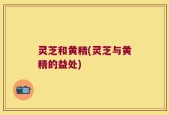 灵芝和黄精(灵芝与黄精的益处)
