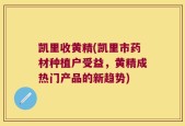 凯里收黄精(凯里市药材种植户受益，黄精成热门产品的新趋势)