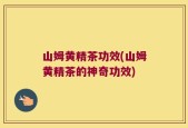 山姆黄精茶功效(山姆黄精茶的神奇功效)