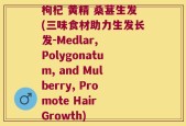 枸杞 黄精 桑葚生发(三味食材助力生发长发-Medlar, Polygonatum, and Mulberry, Promote Hair Growth)