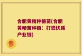合肥黄精种植苗(合肥黄精苗种植：打造优质产业链)