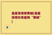 悬崖发现梗黄精(悬崖惊现珍贵植物“黄精”)