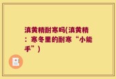 滇黄精耐寒吗(滇黄精：寒冬里的耐寒“小能手”)