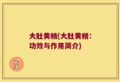大肚黄精(大肚黄精：功效与作用简介)