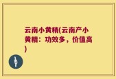 云南小黄精(云南产小黄精：功效多，价值高)