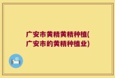广安市黄精黄精种植(广安市的黄精种植业)